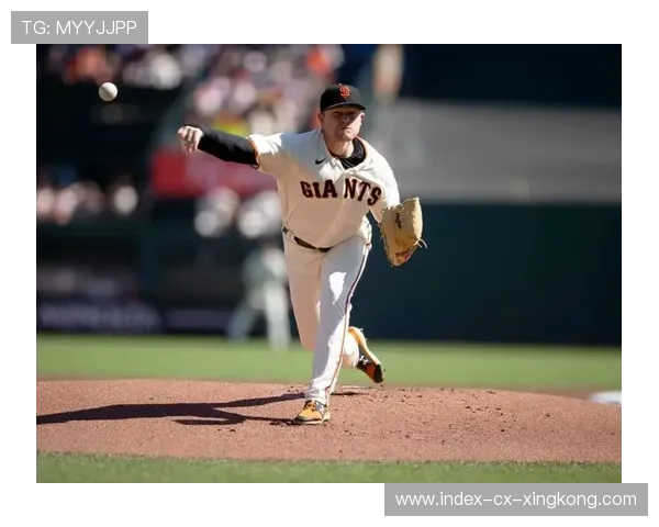 MLB比赛第九局绝杀让球迷彻夜庆祝