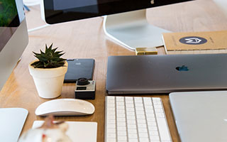 NBA全明星投票开启，球迷热情高涨，nba全明星投票规则说明